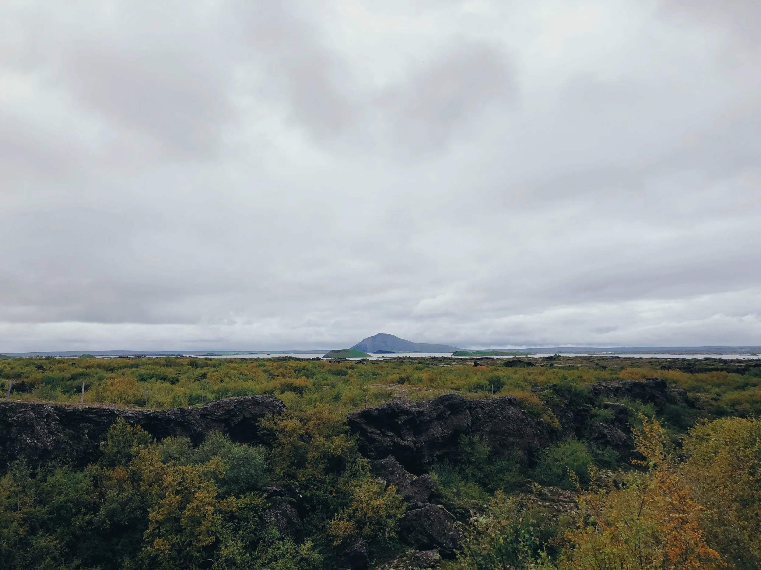 0D2CA965-E149-46EA-A89D-C02C895CAB06.jpeg