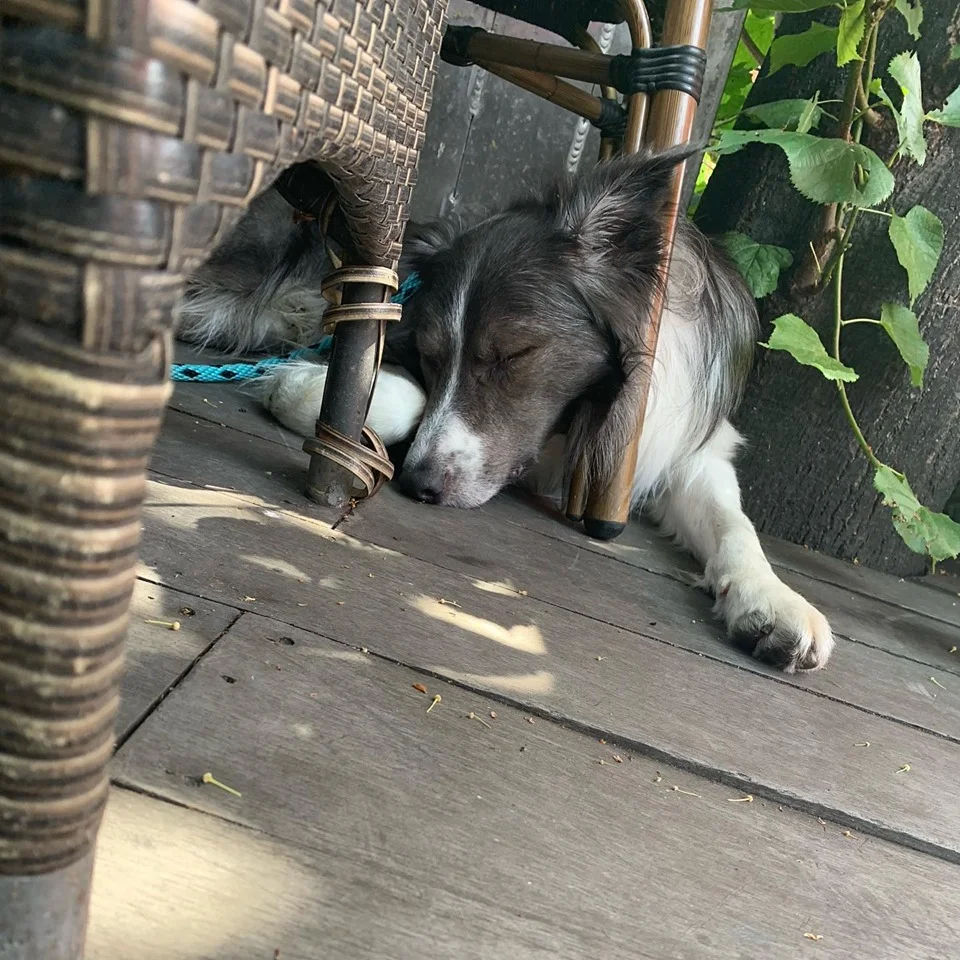 Watching you guys eat is hard work!