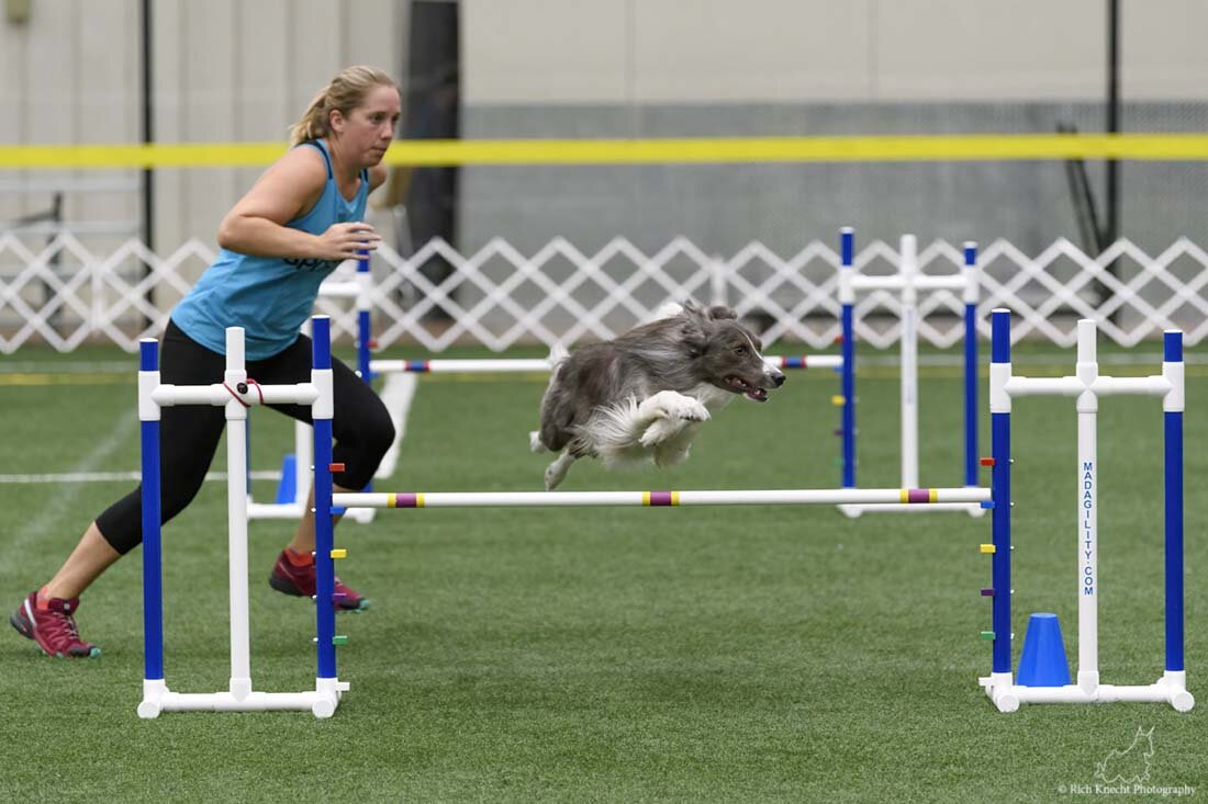 Fin and Grace Running.jpg