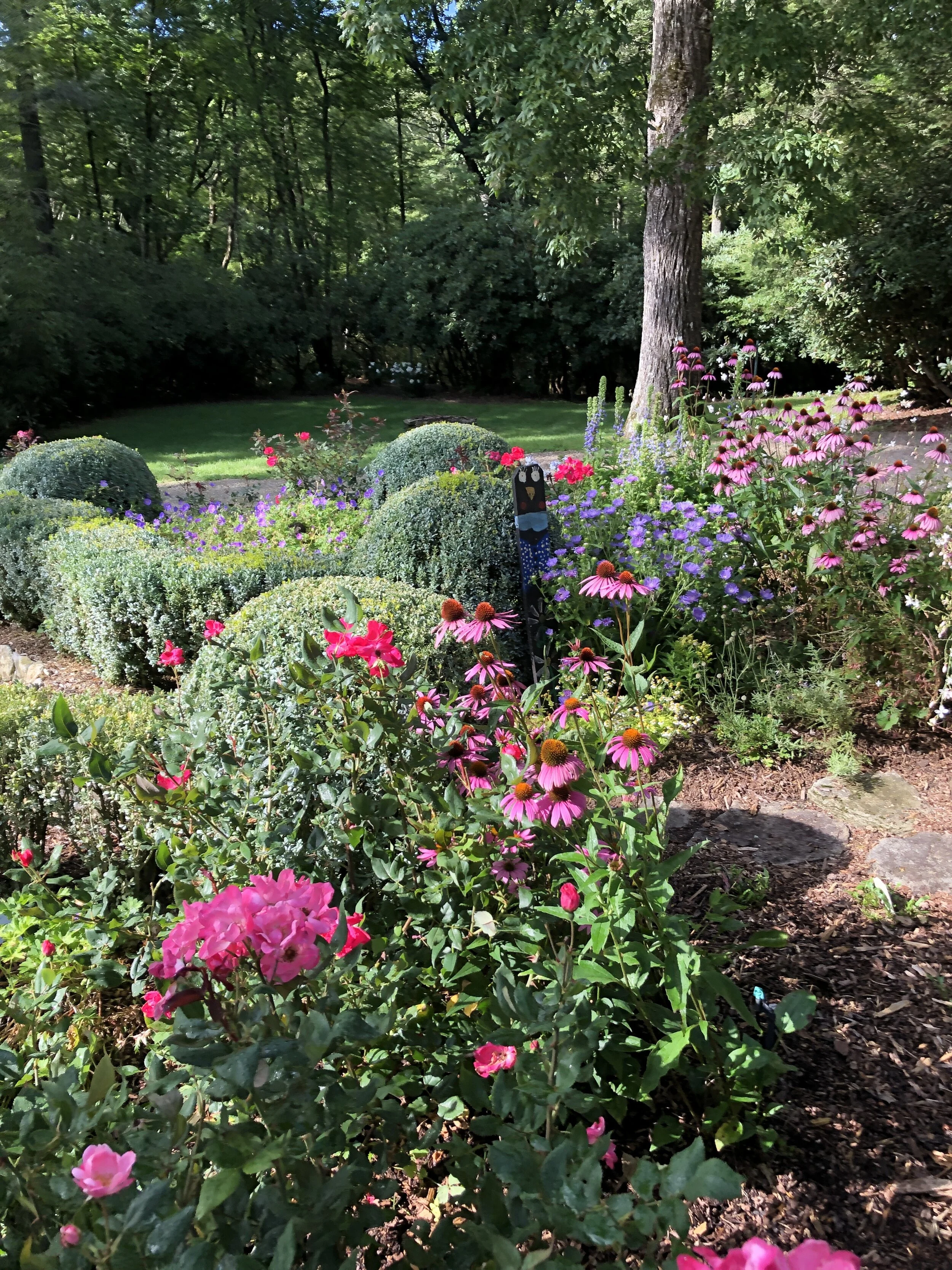                                                      The Mountain Cottage Garden