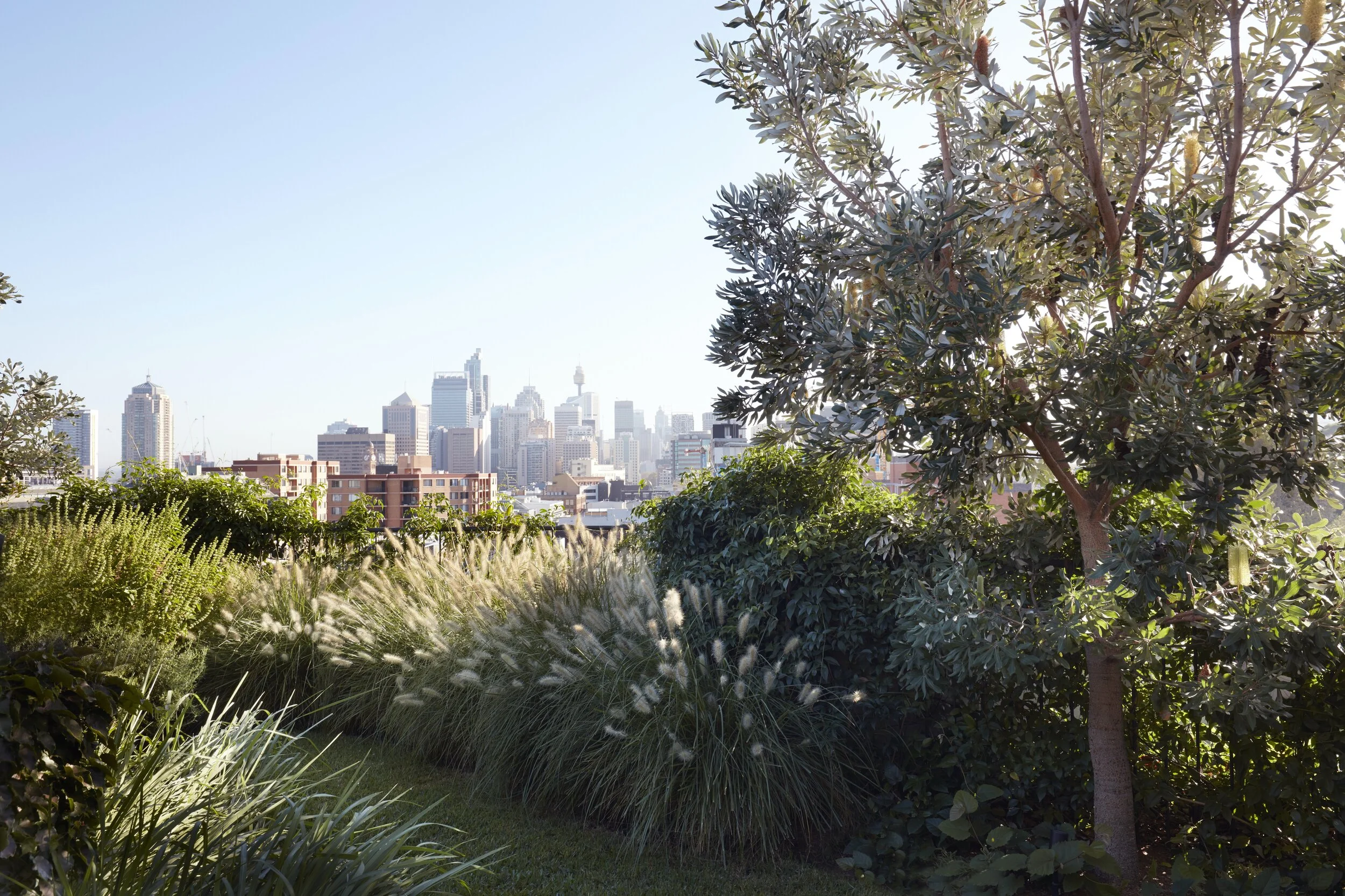 Cleveland Rooftop by Adam Haddow. Photo: Prue Roscoe