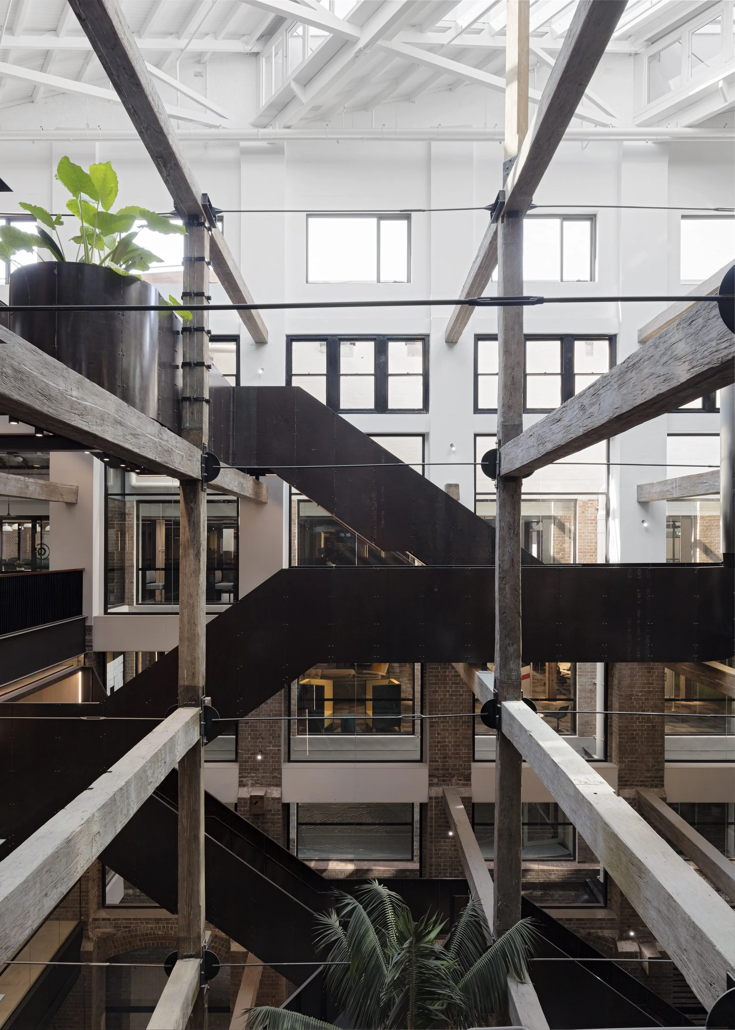 From heritage wool-store to co-working hub; SJB’s award-winning revival of 100 Harris Street, Ultimo, Sydney. Photo: Felix Forest