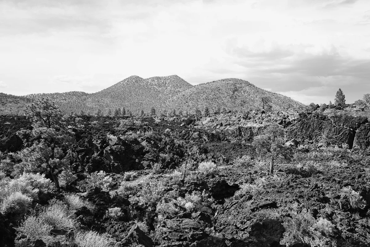 Holbrook to Flagstaff