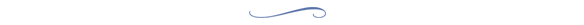 squiggle.png