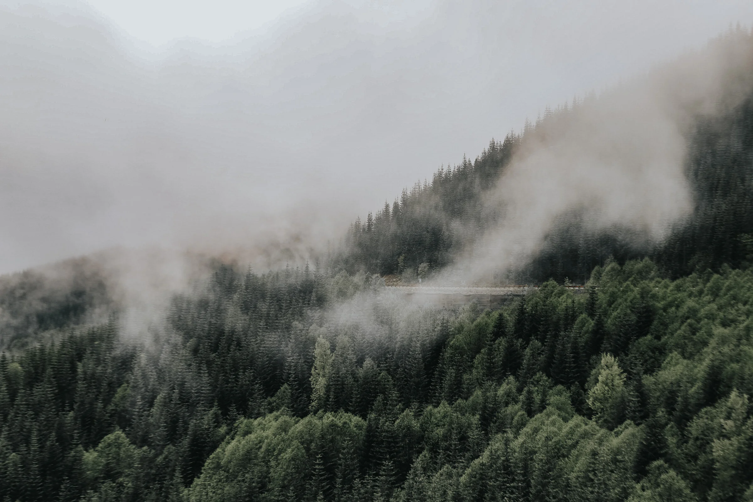 876947A5-9FA6-4241-BF1D-27C0375A847A