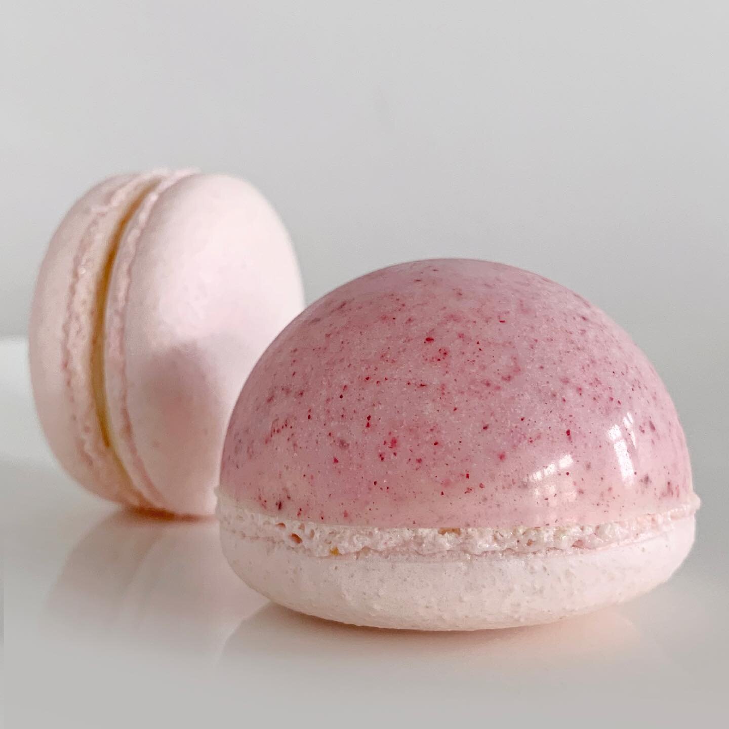 pink lemonade shells x raspberry white chocolate dome + lemon buttercream and raspberry curd
.
.
This was my first week selling macollines instead of macarons. And of course, the baking gods decided that would not be so. I could go into every detail 