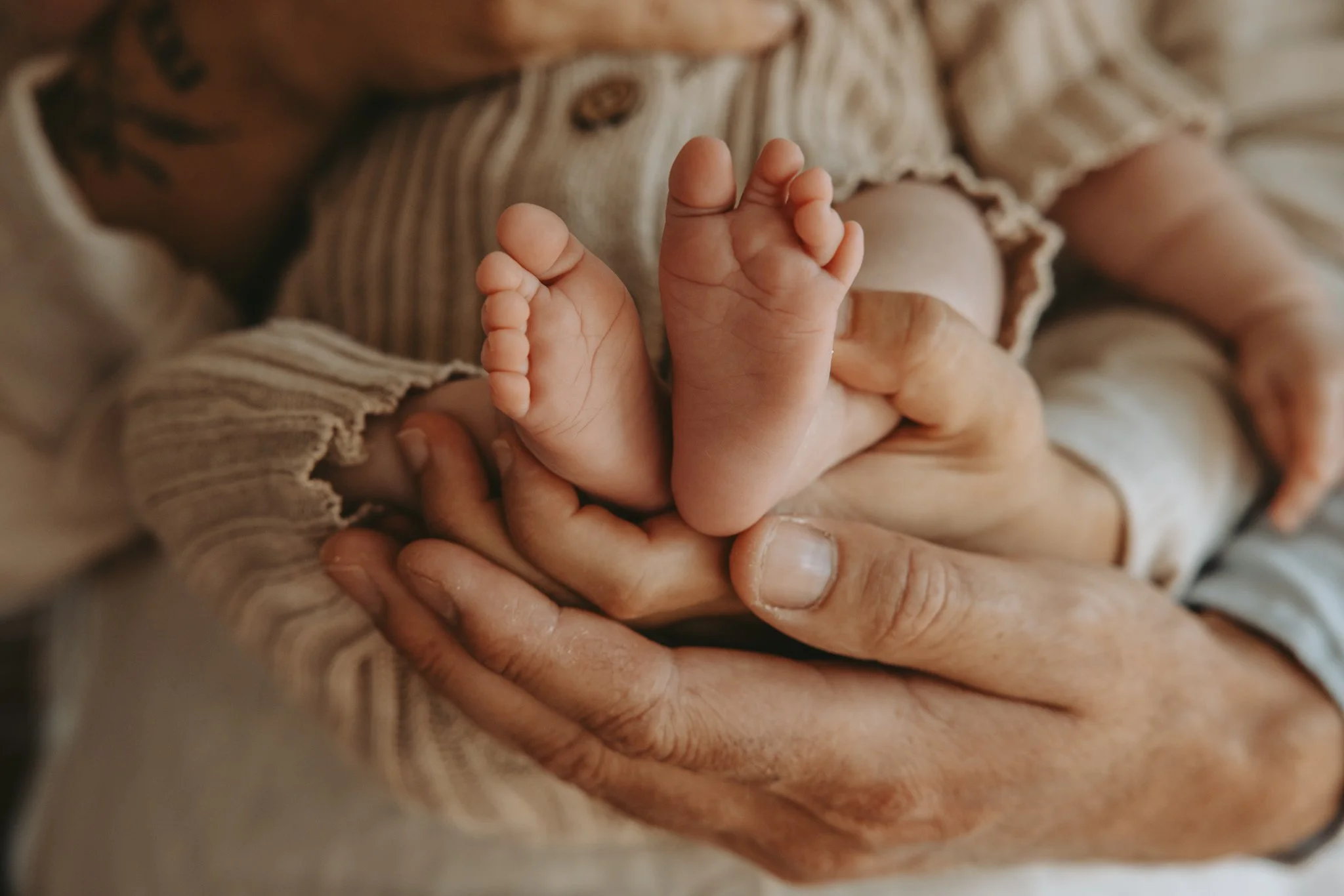 Baby_Fern-295.jpg