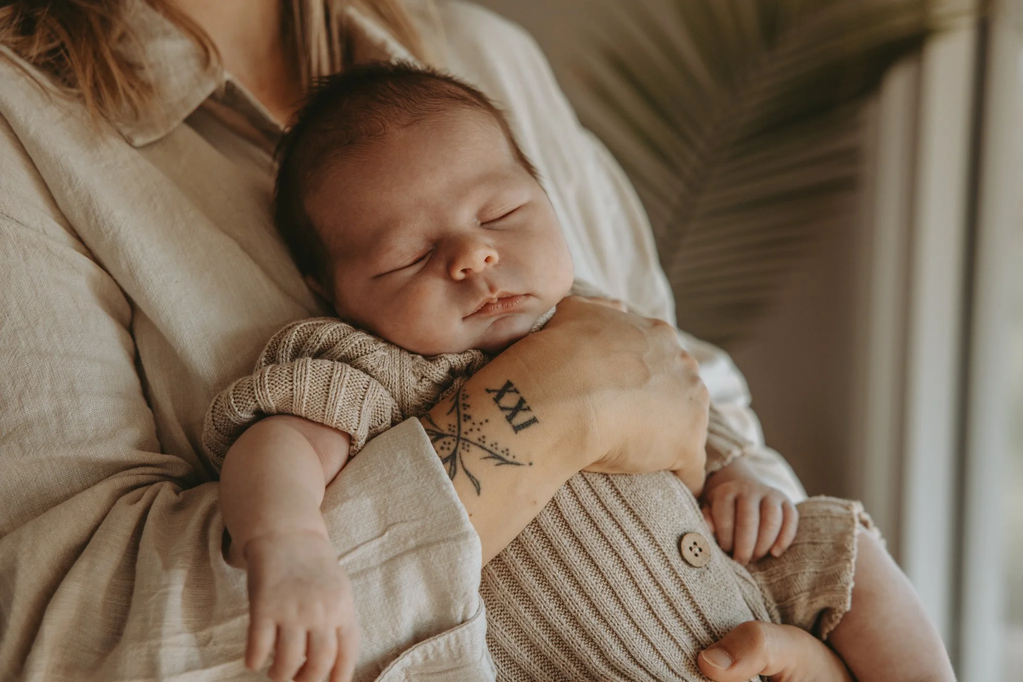 Baby_Fern-305.jpg