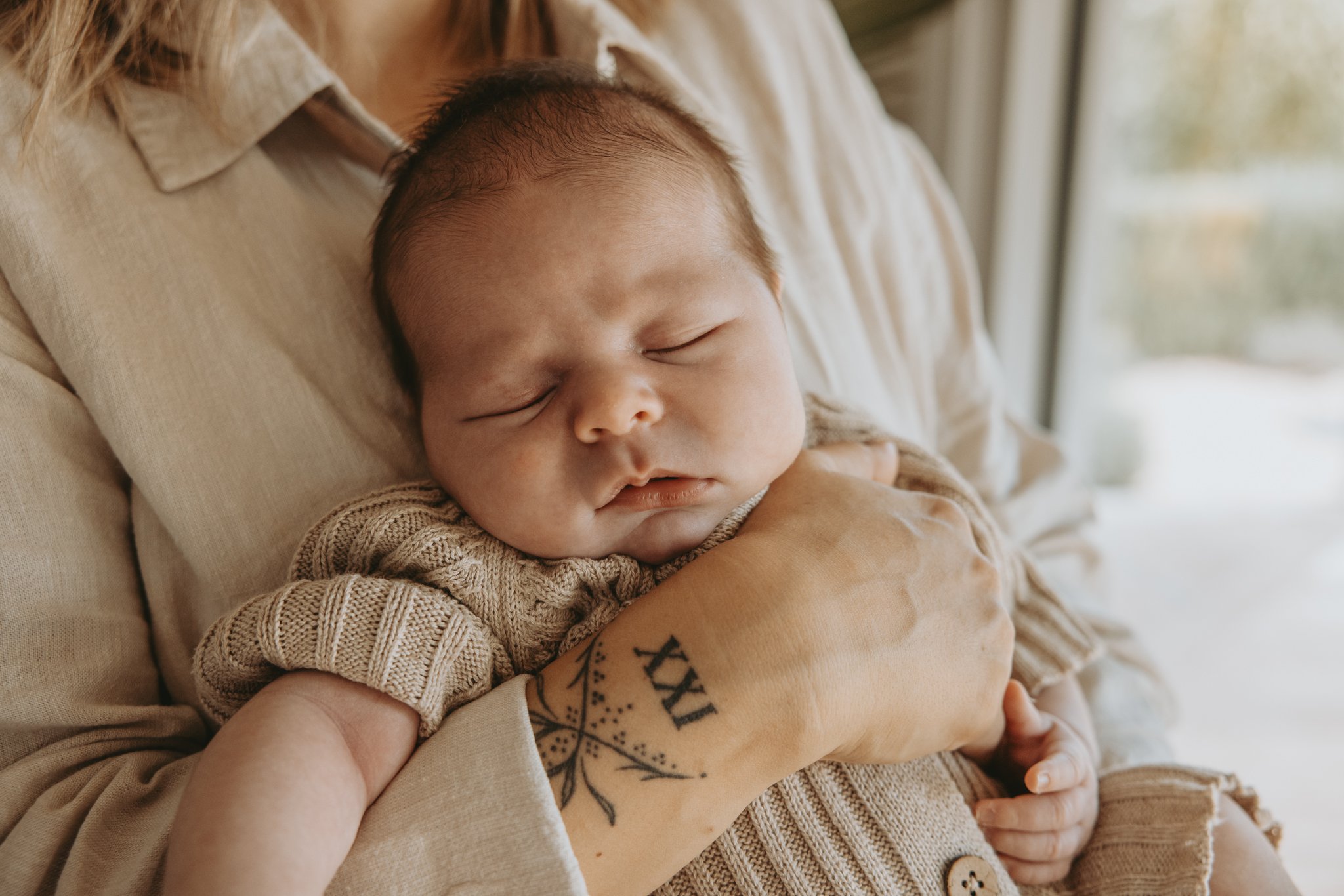 Baby_Fern-298.jpg