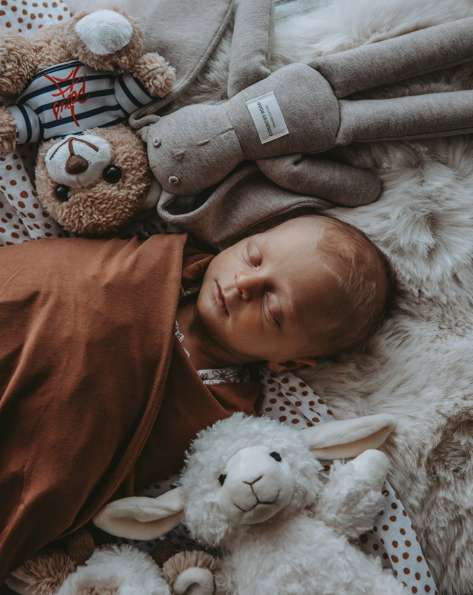 Baby_Quinn-264.jpg