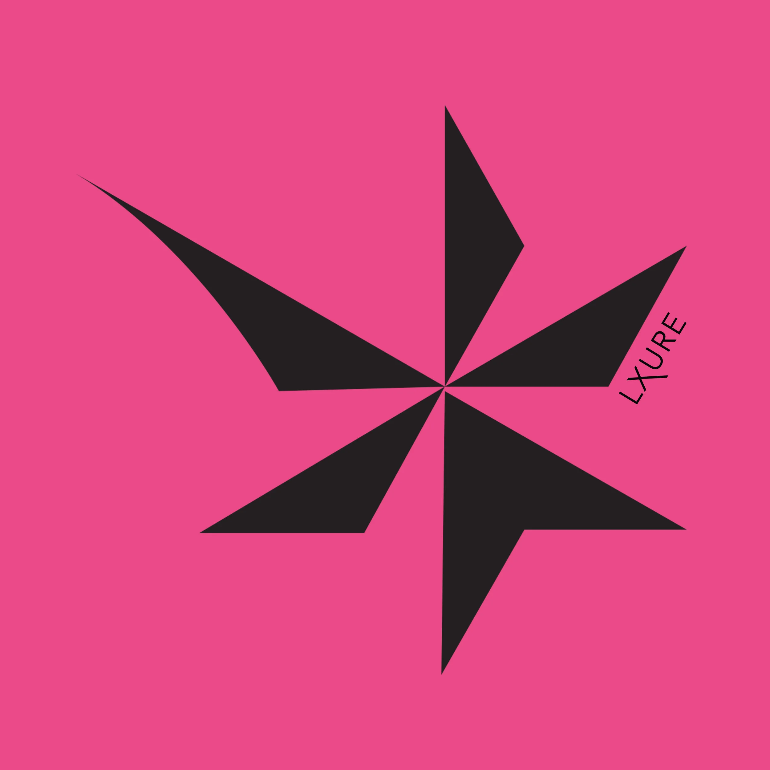 LXURE custom pillow - symbol 1.jpg