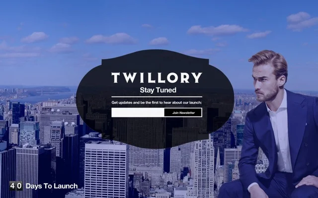 Twillory - Splash Page Concept 2.JPG