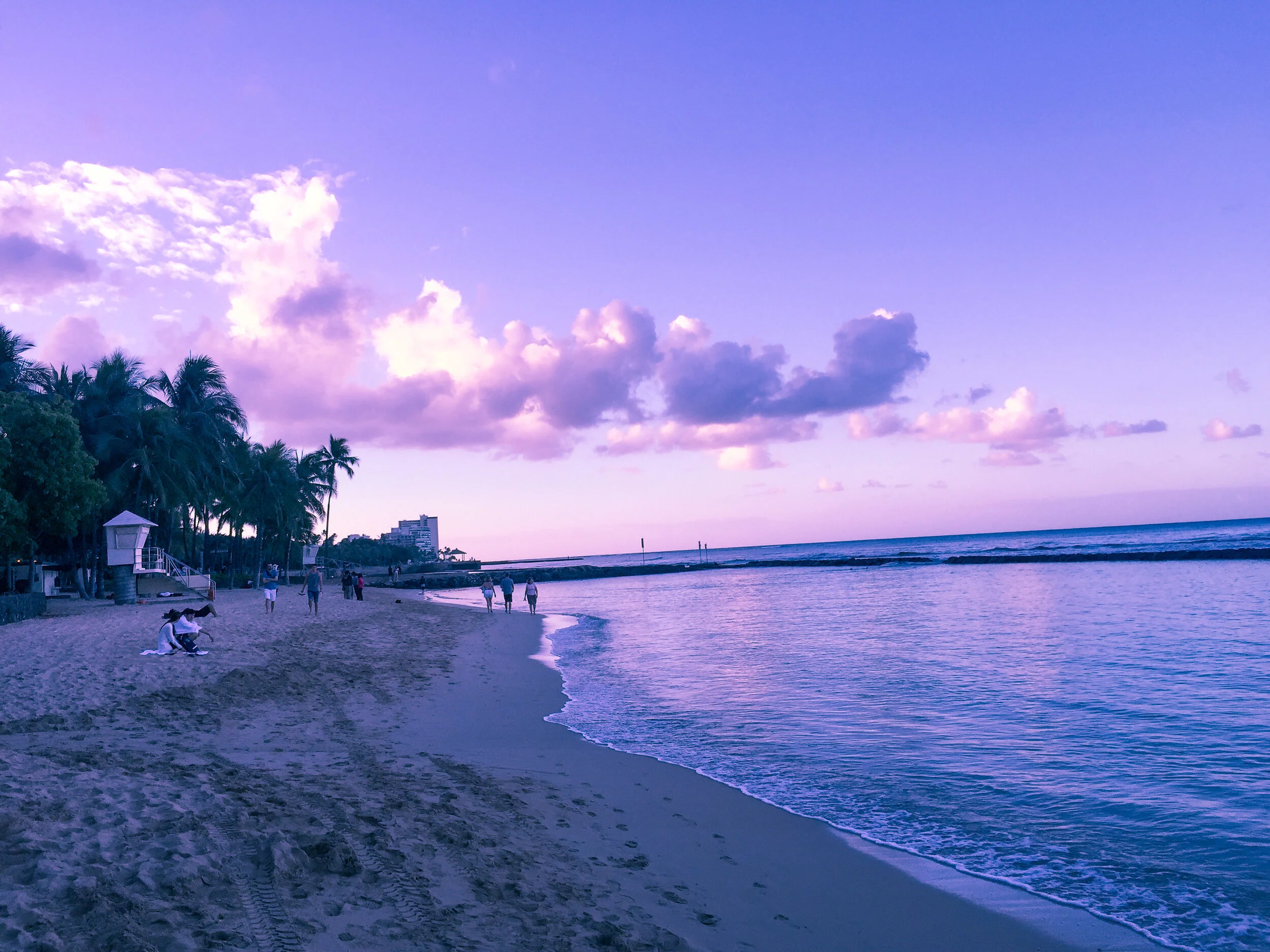 File_008-2.jpg