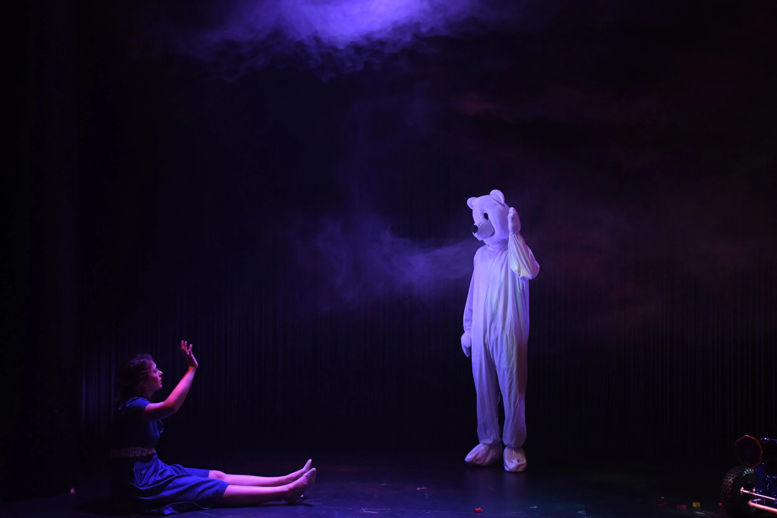 Dissocia Photo 9.JPG