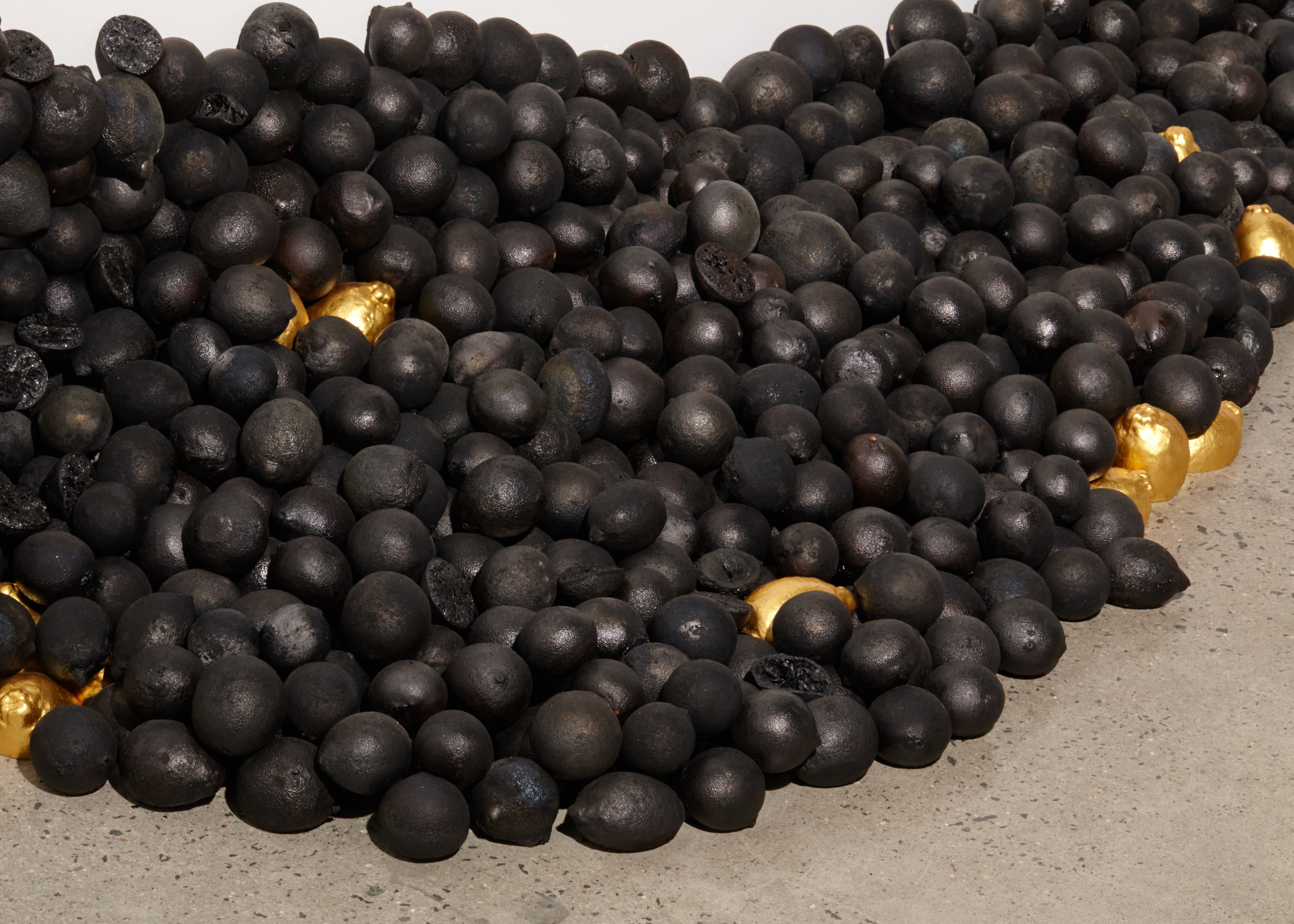 Rosenfeld_Erica_Carbon and Glass Lemons detail.jpg