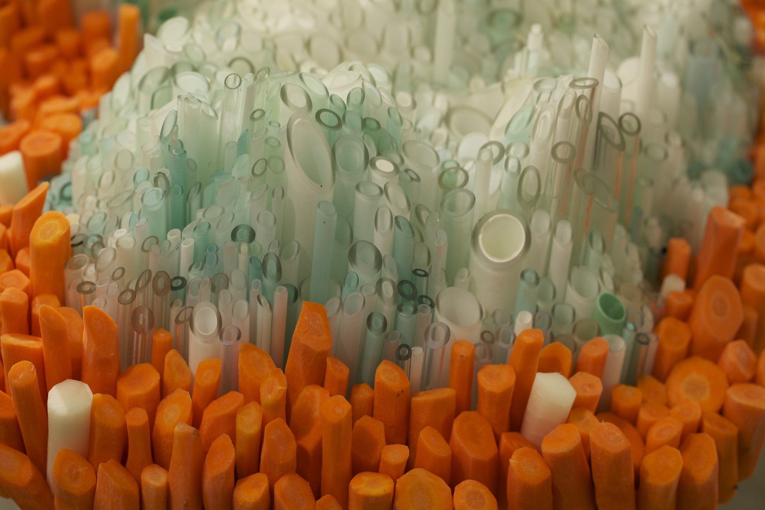 Pickled carrots with blown and carved glass tubes
