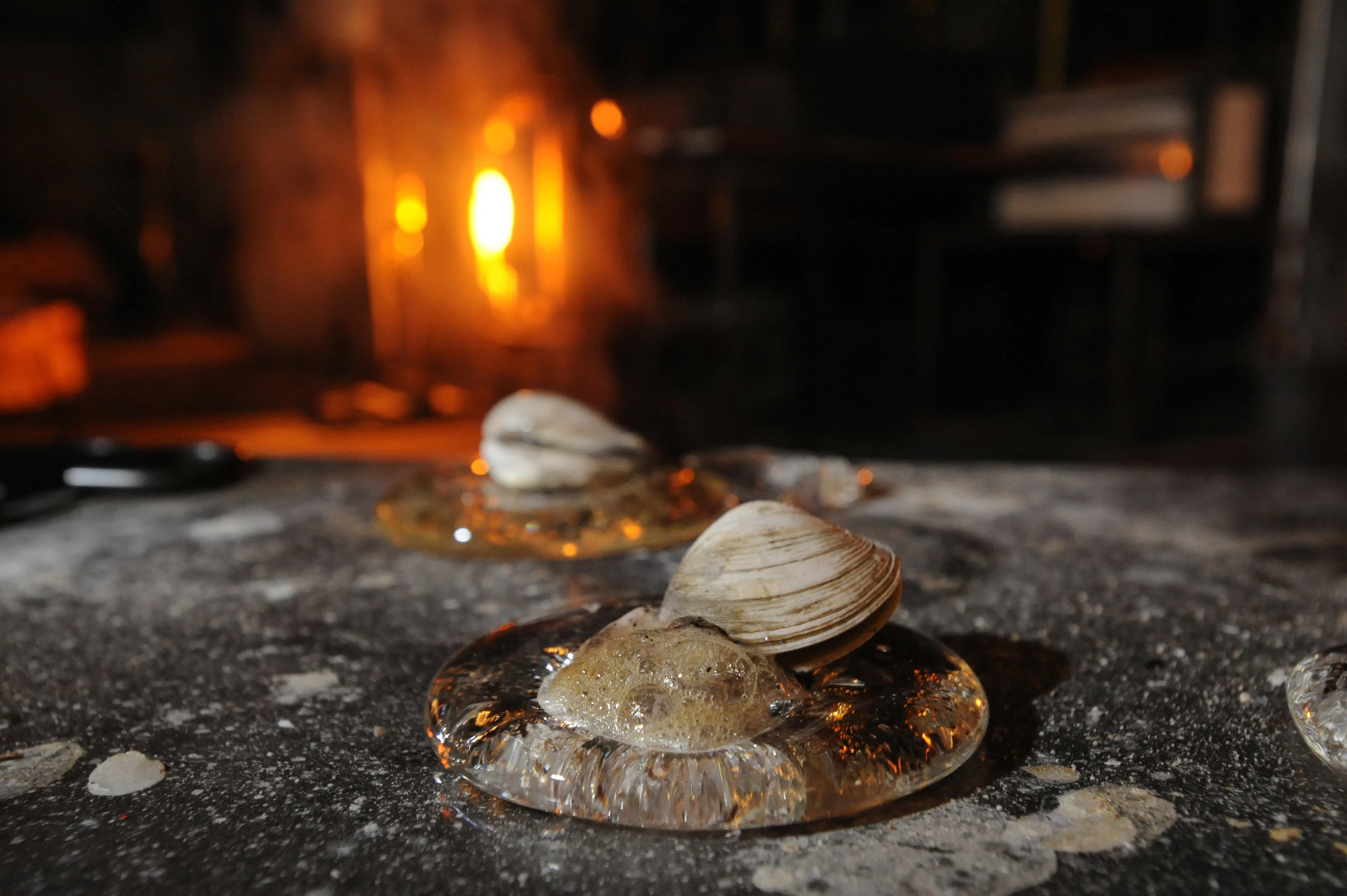 08. Clams.jpg