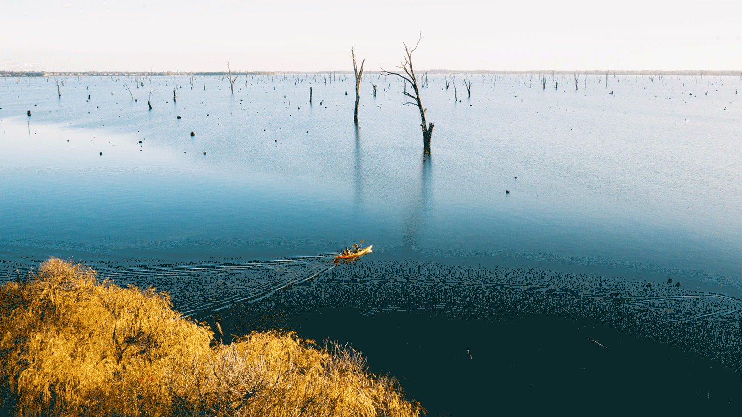 The Murray + Best Shared