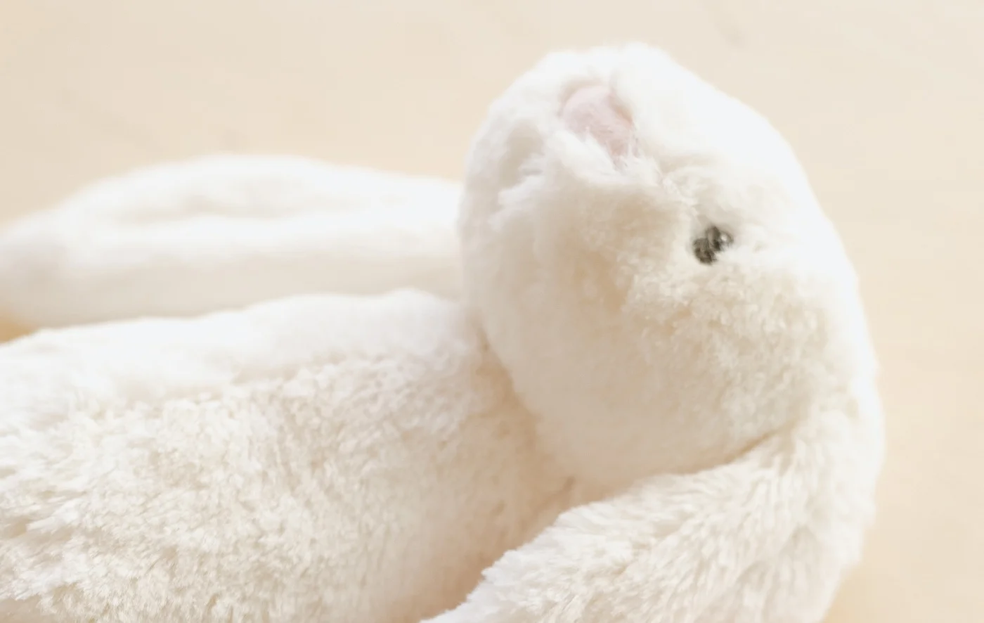 Babys-Rabbit.jpg