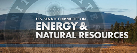 SenateEnergy3.png