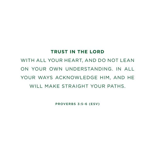 &quot;Trust in the Lord with all your heart, and do not lean on your own understanding. In all your ways acknowledge Him, and he will make straight your paths.&quot; - Proverbs 3:5-6 (ESV)