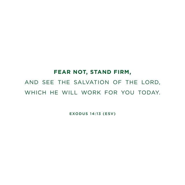 &quot;Fear not, stand firm, and see the salvation of the Lord, which He will work for you today.&quot; - Exodus 14:13 (ESV)