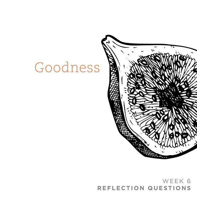 Welcome to Multiply Goodness and our 9-week summer study of the Fruits of the Spirit, found in Galatians 5:22-23:
⠀⠀⠀⠀⠀⠀⠀⠀⠀
&quot;But the fruit of the Spirit is love, joy, peace, patience, kindness, goodness, faithfulness, gentleness, self-control; a
