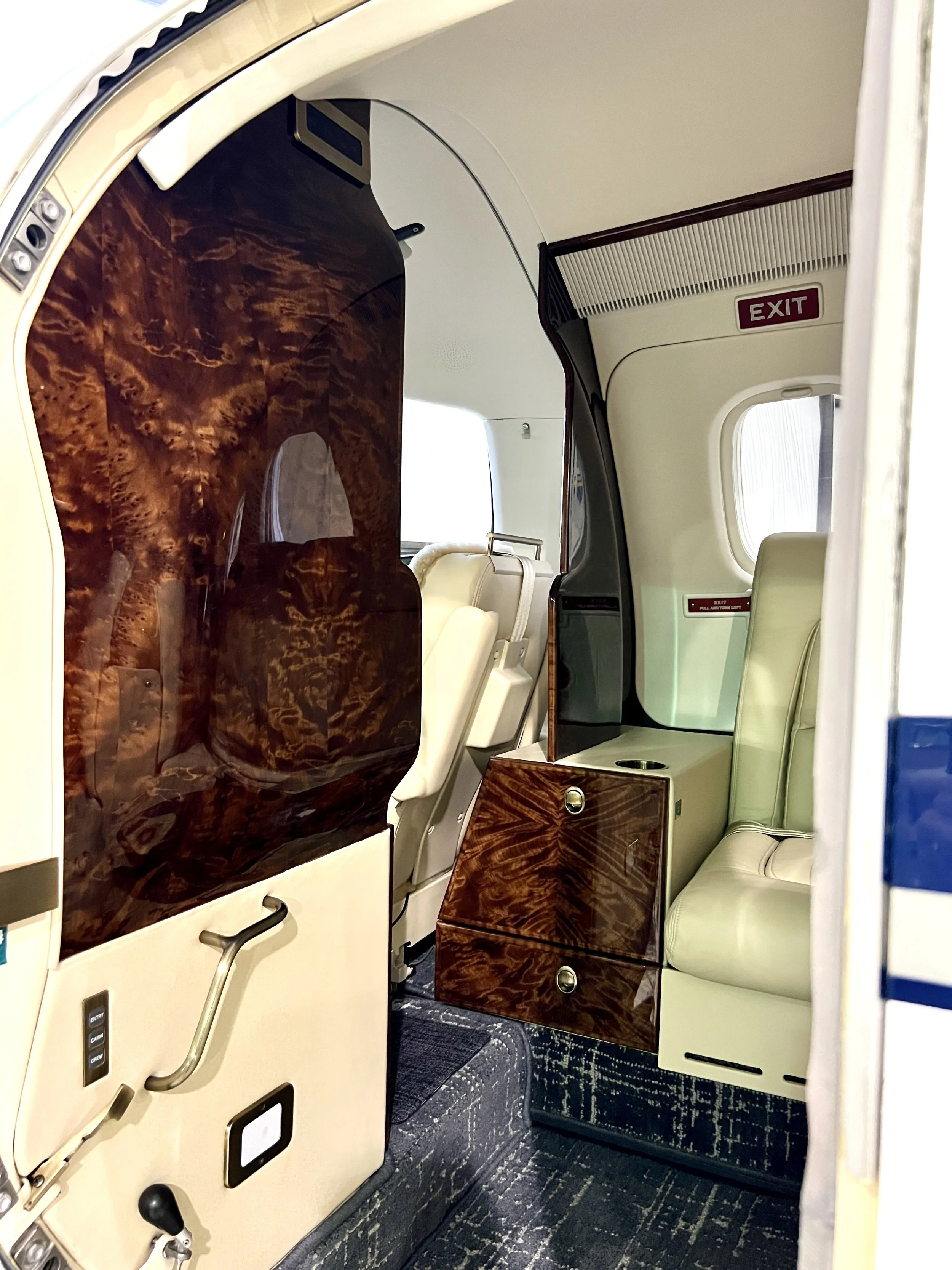 Complete Piaggio P180 Interior (Copy) (Copy)