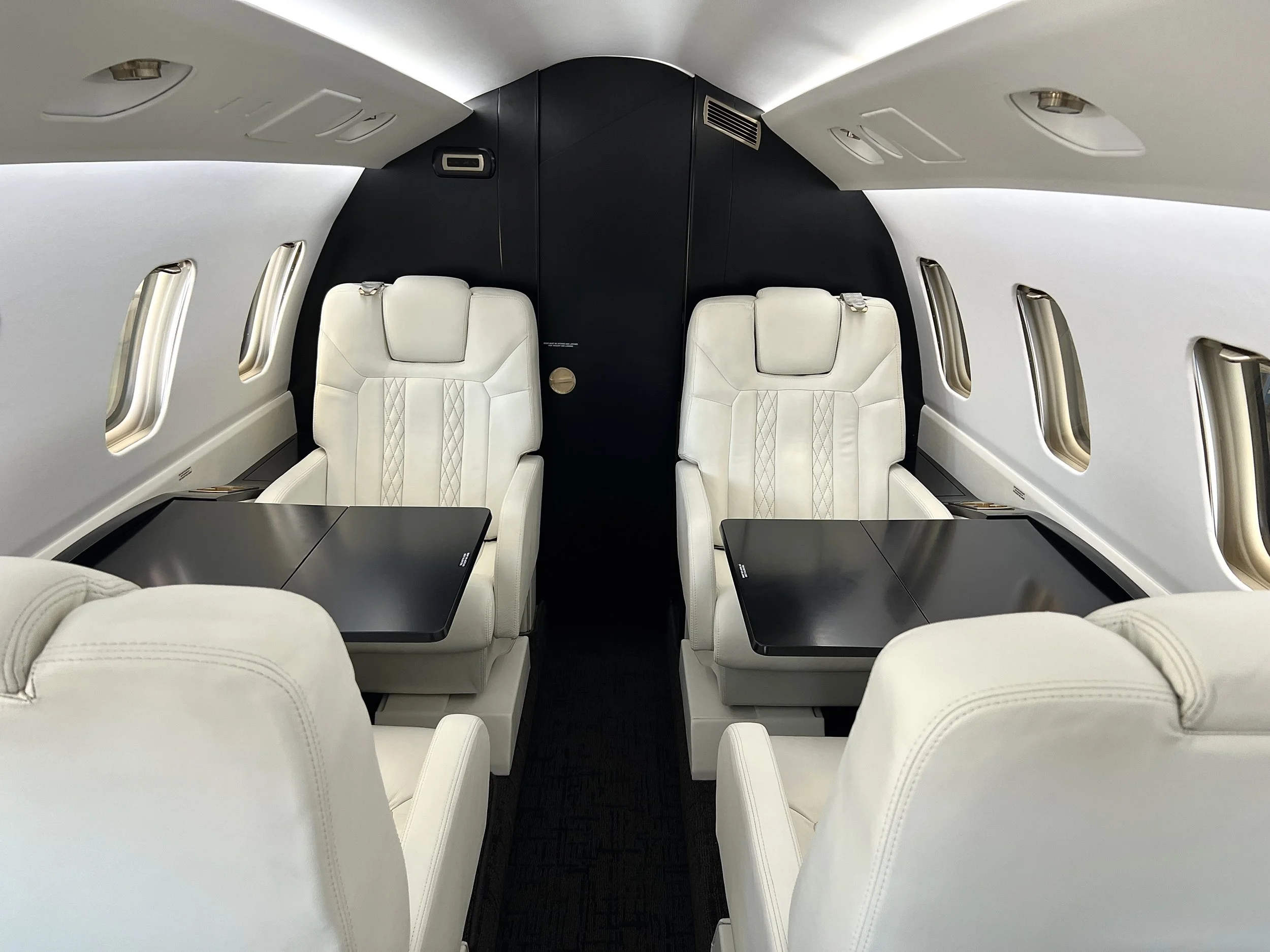 Complete Piaggio Avanti II Interior (Copy) (Copy)