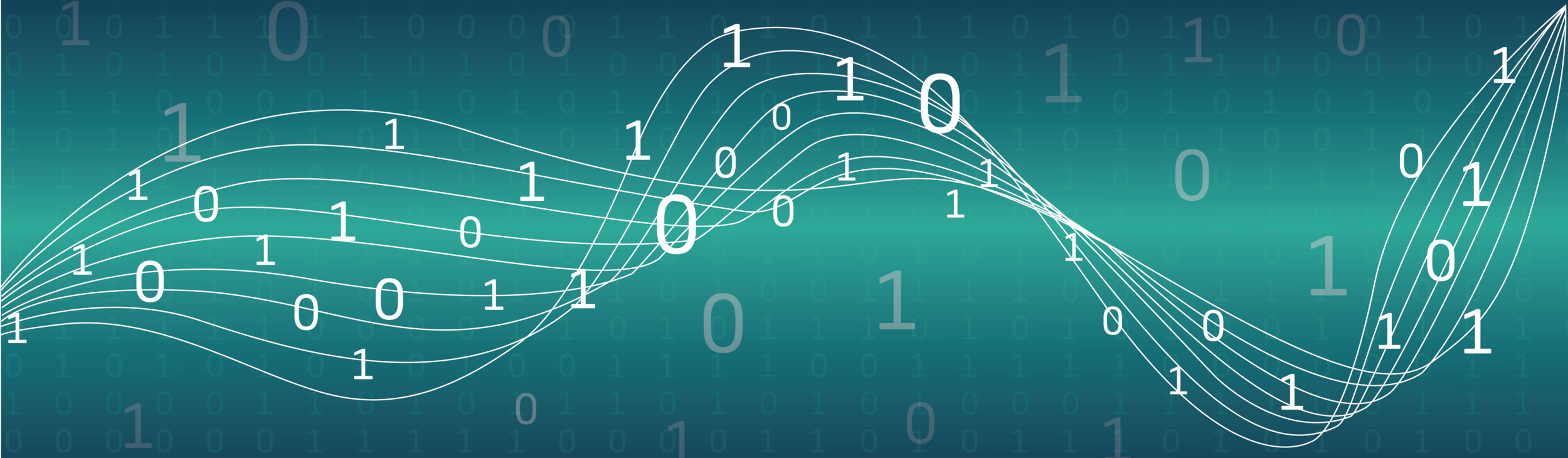 coding_webheader-03.png