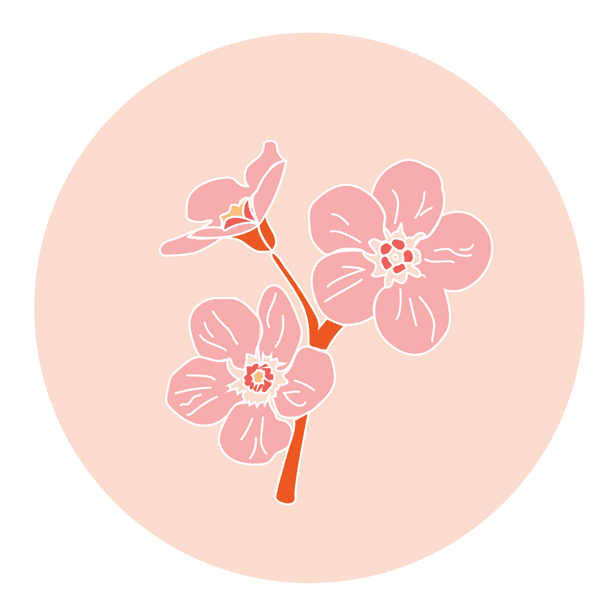 flower-01.png