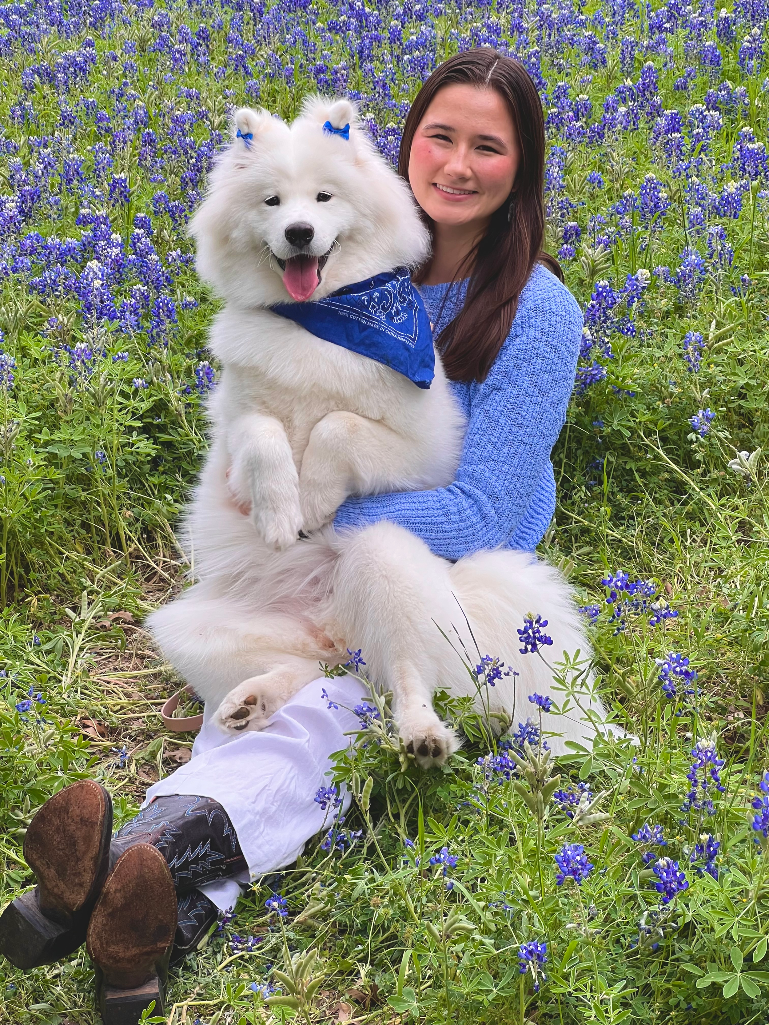 Mochi the Samoyed with Catherine in a field of bluebonnets