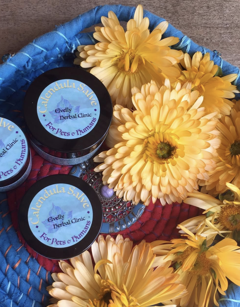 Screenshot 2025-07-25 at 4.51.40 pm.png