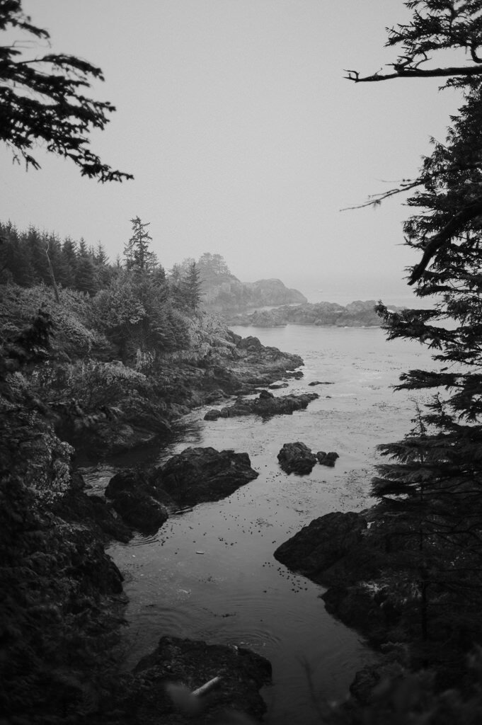 Tofino-142.jpg