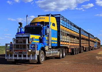 road_trains_of_australia_services_livestock_transport.jpg