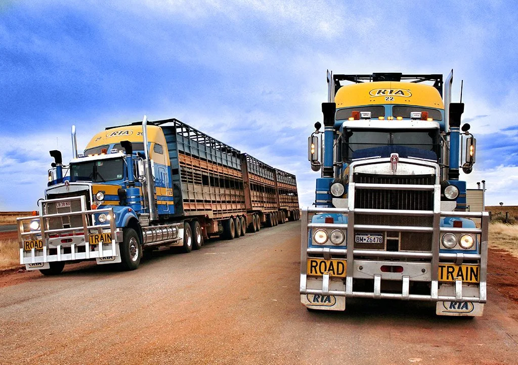 Livestock Transport — Road Trains of Australia