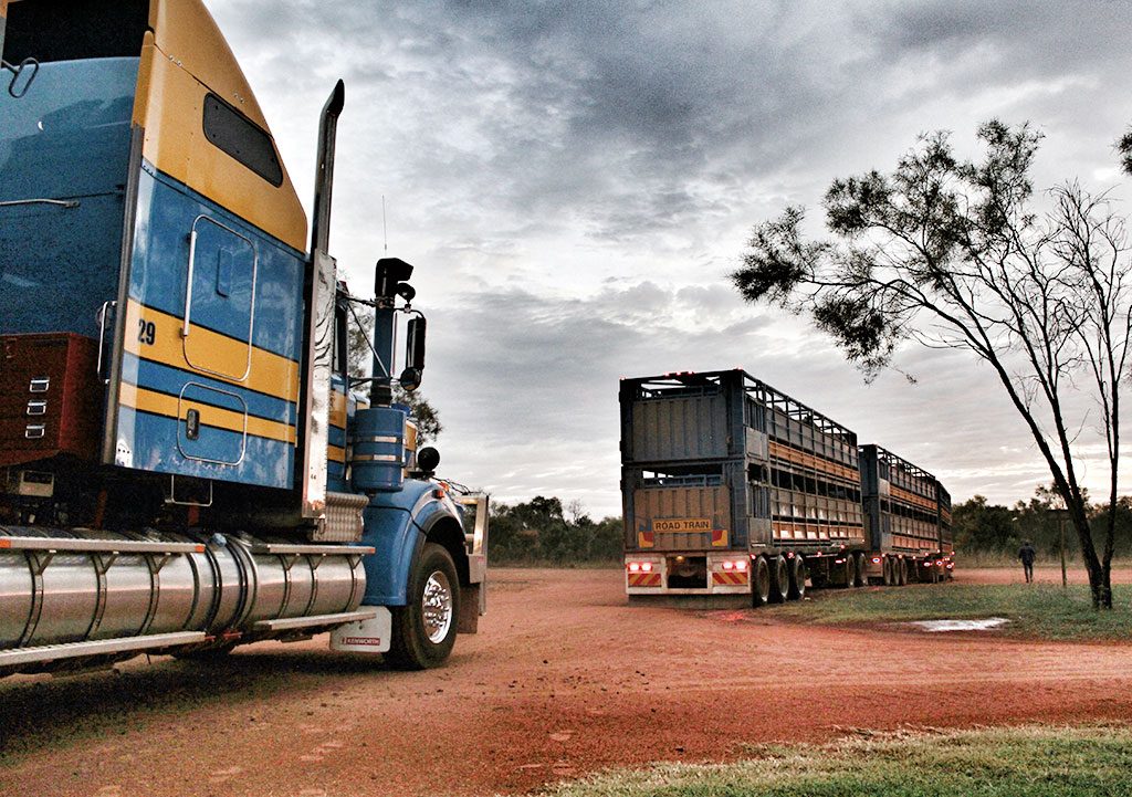   Road Trains of Australia   Road Trains of Australia (RTA) has over a decade of experience in safe &amp; dependable transportation of livestock, petroleum and bulk commodities throughout the north of Western Australia, Northern Territory and Queensl