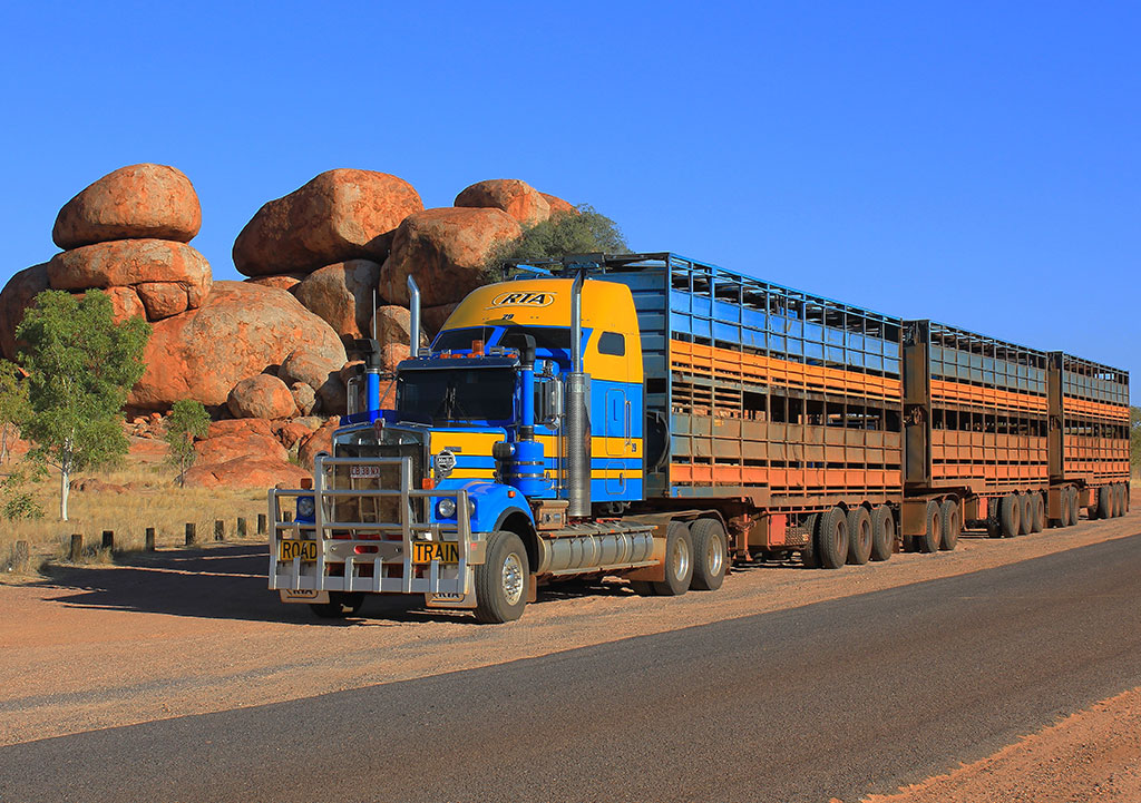   Road Trains of Australia   Road Trains of Australia (RTA) has over a decade of experience in safe &amp; dependable transportation of livestock, petroleum and bulk commodities throughout the north of Western Australia, Northern Territory and Queensl