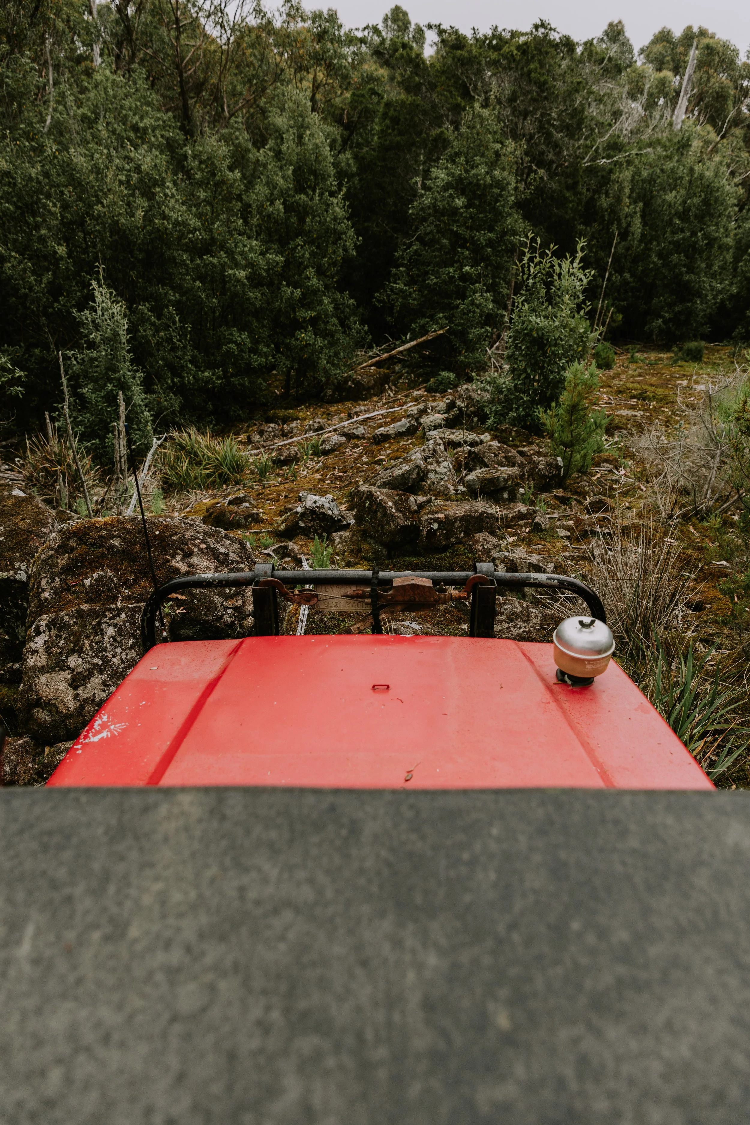 Red_Suzuki_Sierra-22.jpg