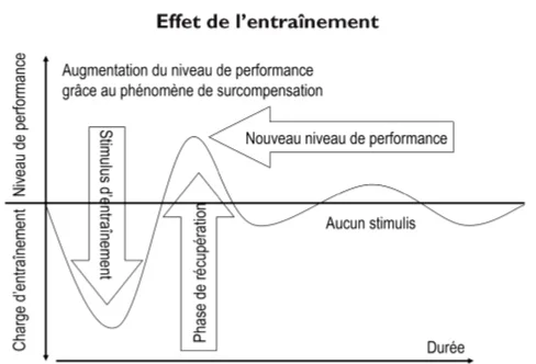 RMS_428_962_fig01.jpg_i1140.jpg