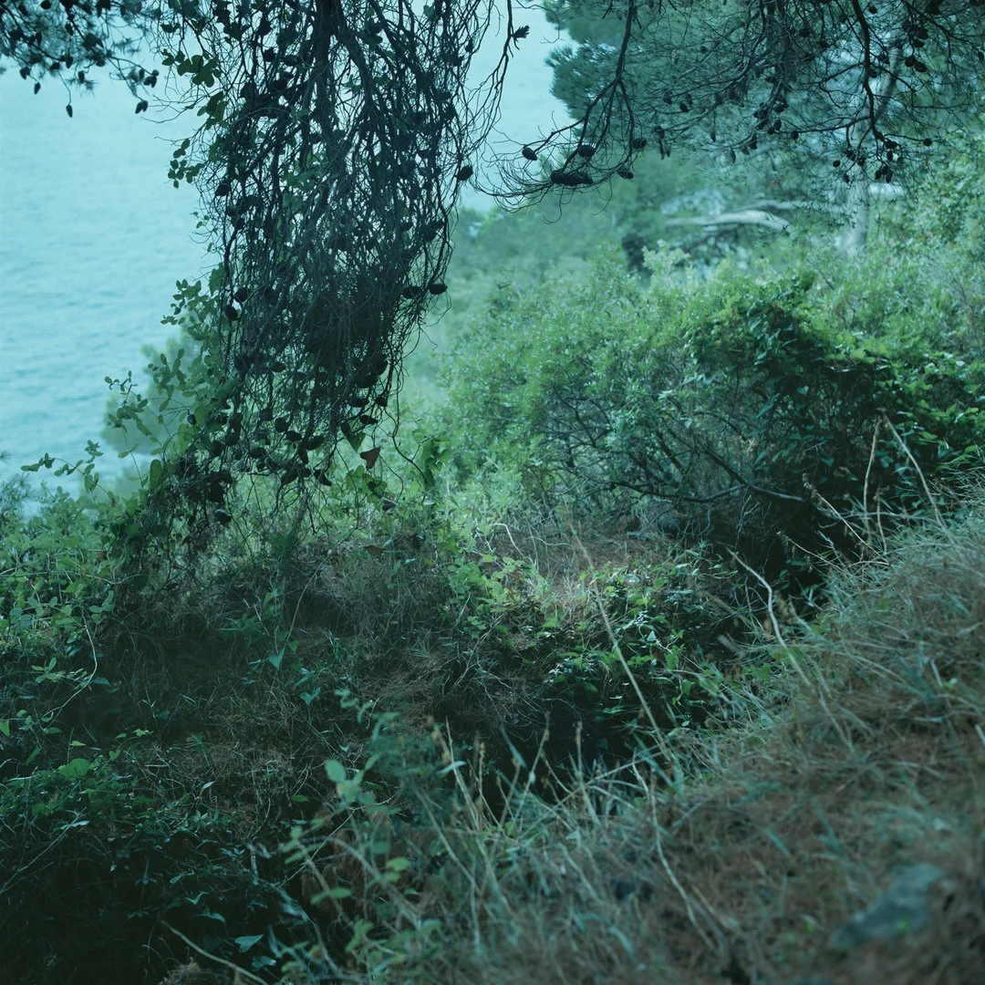 HerttaKiiski_Melankolia2047_Trees-1.jpg