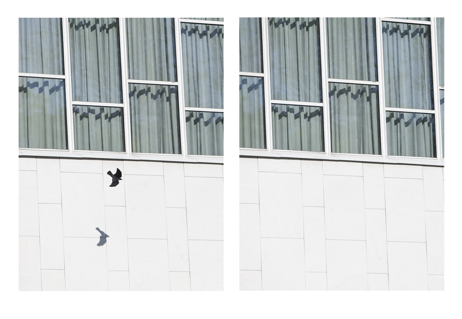 Shadow_of_a_Bird_on_Marble.jpg