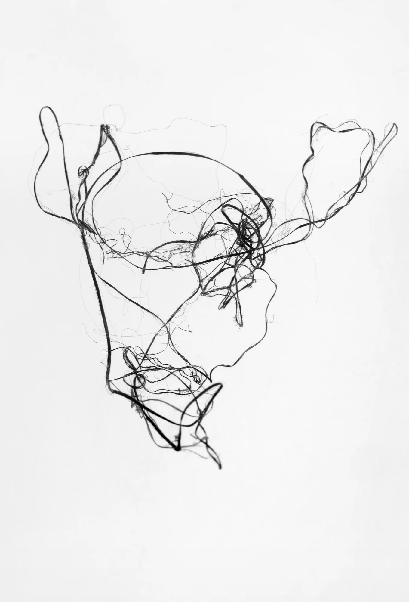 UNIVERSUM (2015).jpg