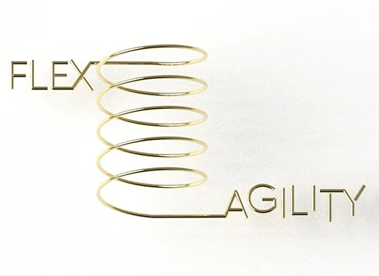 FlexAgility.jpg
