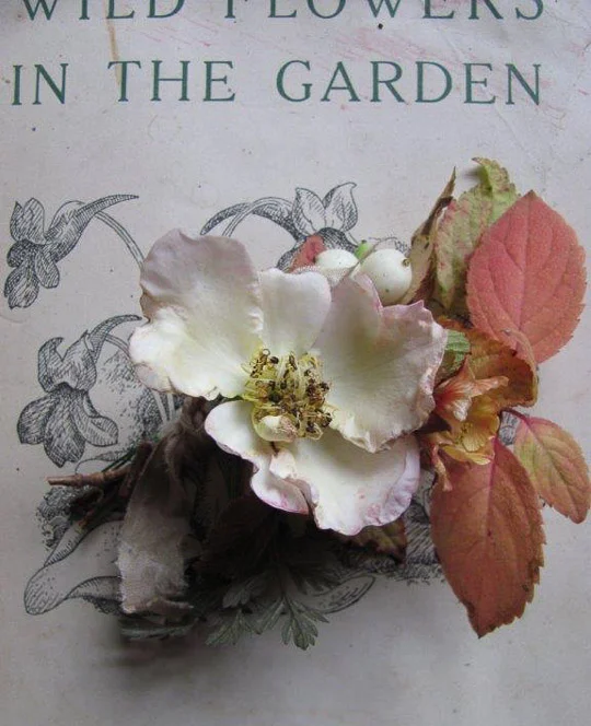 Favourite Flower - Susanne Hatwood-5254