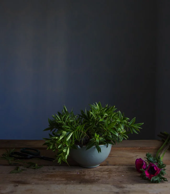 spring flower tutorial