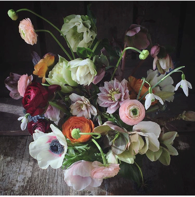 Spring by Cherfold Flowers