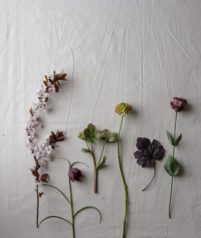 Moody-Spring-Tutorial-2.jpg