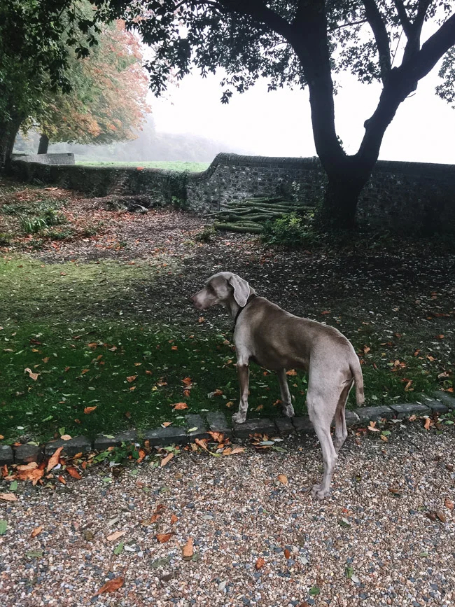 Gather-and-Tend-October-2018-41.jpg