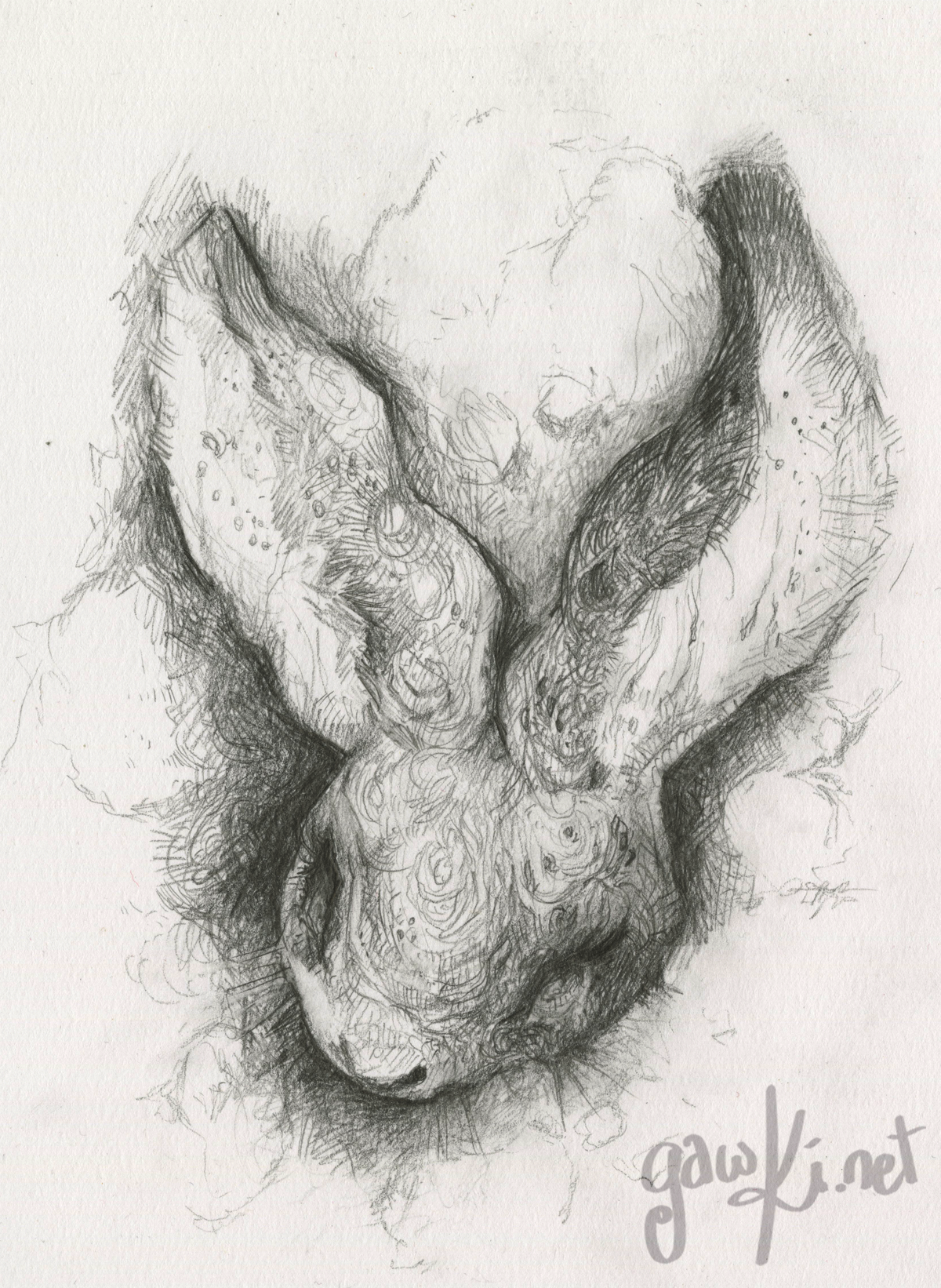 seeingrabbit.png